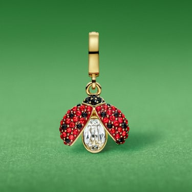 Swarovski's Luxury Charm Collection | Swarovski US
