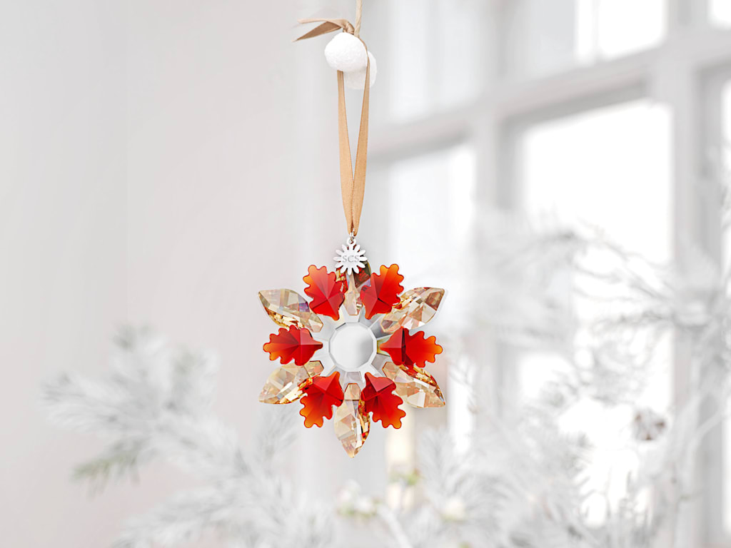 SCS Anniversary | Swarovski JP