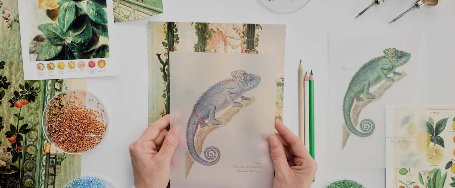 Premium Swarovski Crystal Artwork Collection for Home & Gift Giving