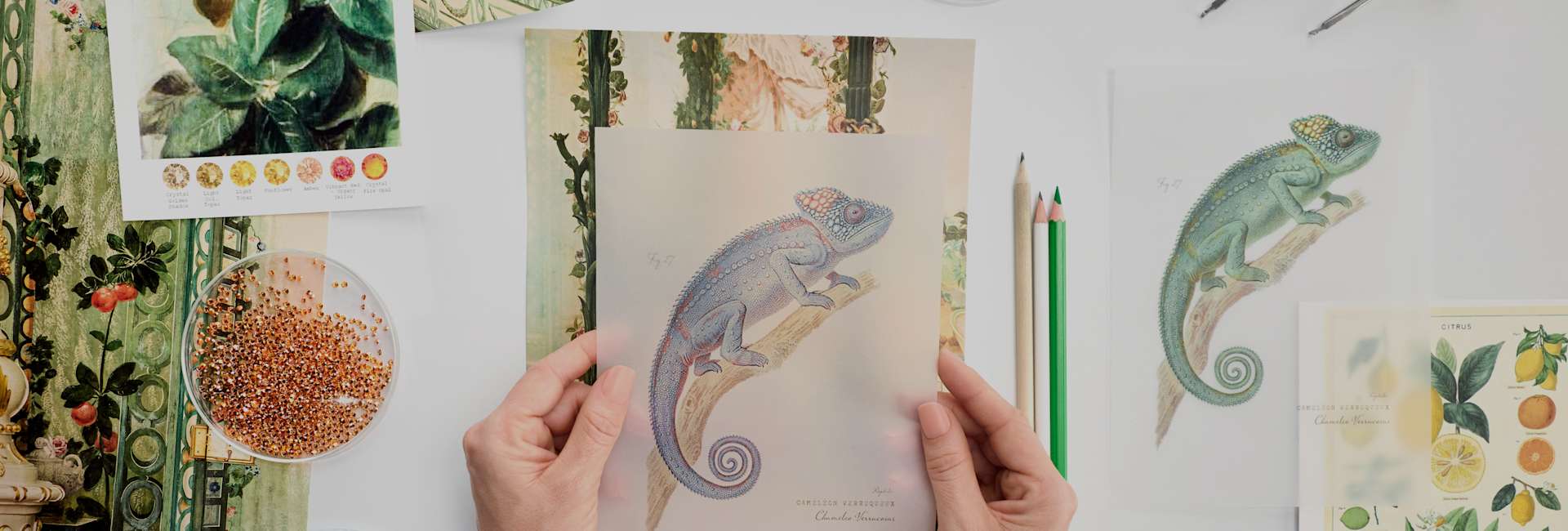 Premium Swarovski Crystal Artwork Collection for Home & Gift Giving