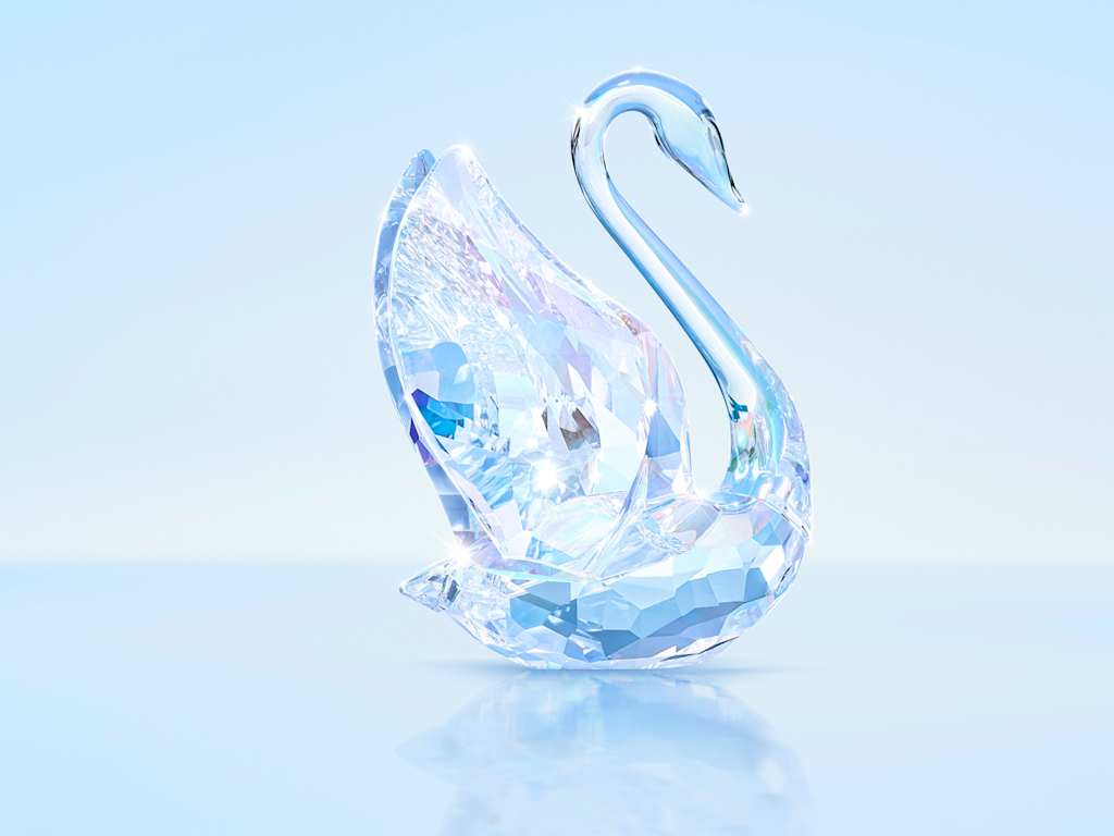 SCS 2024年度限定作品 スワン | Swarovski JP