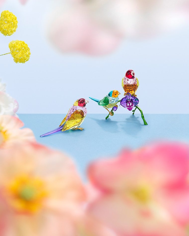 2024 SCS Exclusive Gift Swarovski AU