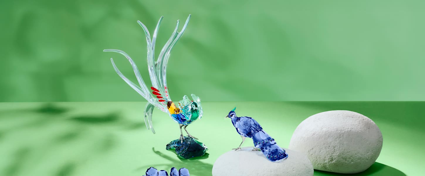 SCS Annual Edition Lady Amherst's Pheasant | Swarovski US