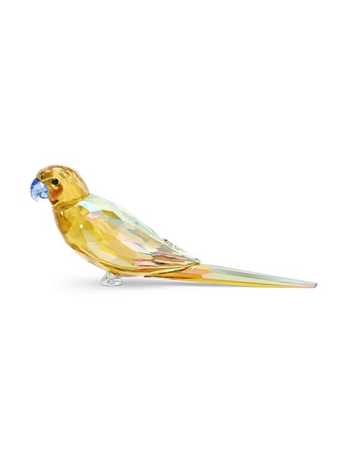Jungle Beats Yellow Parakeet Lechee