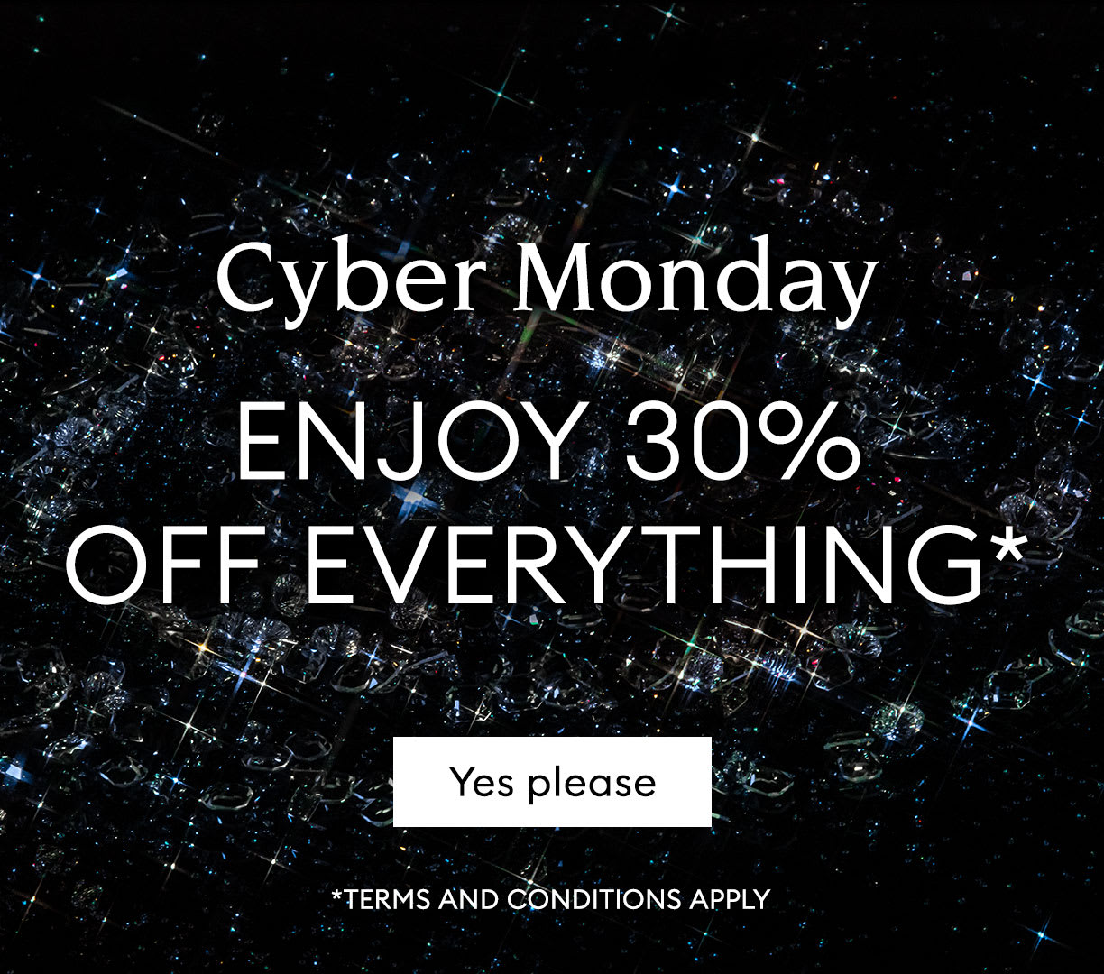 Cyber Monday enjoy 30% off everything*
