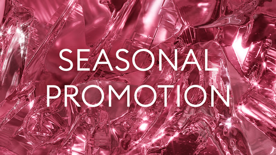 Seasonal Promotion
