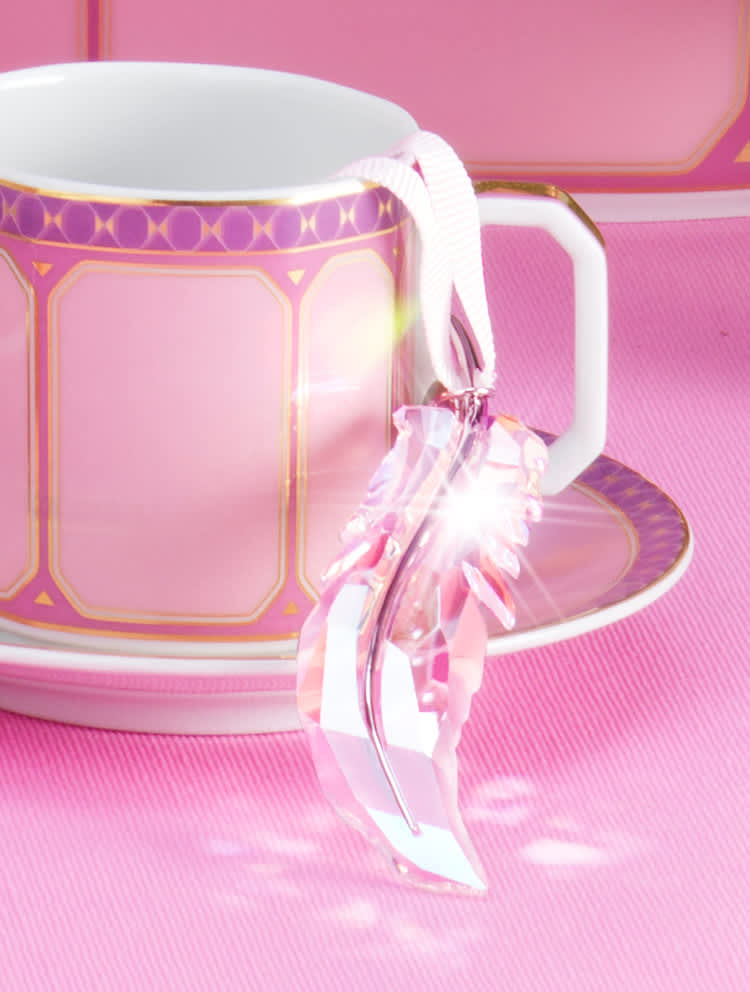 Produkty Swarovski Crystal Society