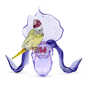 Idyllia Gouldian Finch and Orchid