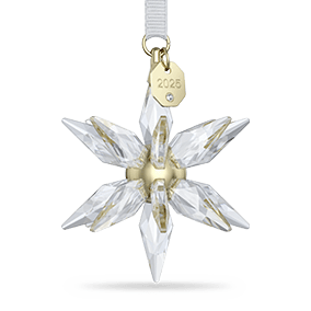 Annual Edition 3D Ornament 2025