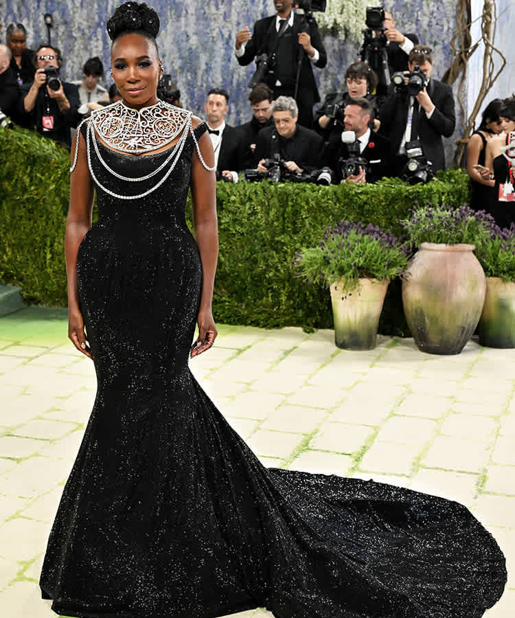 Venus Williams on the Met red carpet
