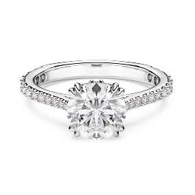 Shop rings