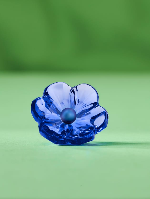 Jeden květ z modrého Křišťálu Swarovski s oblými okvětními lístky a tmavým středem na světle zeleném povrchu oproti měkce zelenému pozadí.