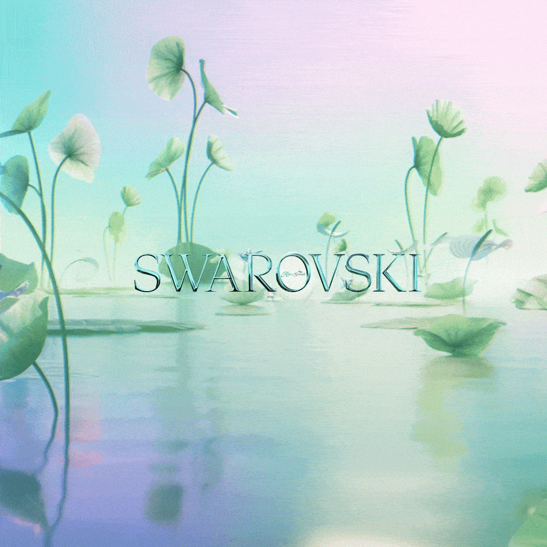 Ariana Grande x Swarovski wkrótce w sprzedaży