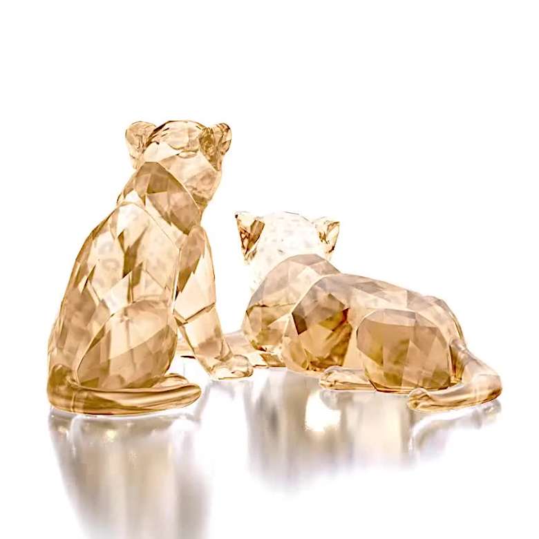 SCS Amur Leopard Cubs | Swarovski