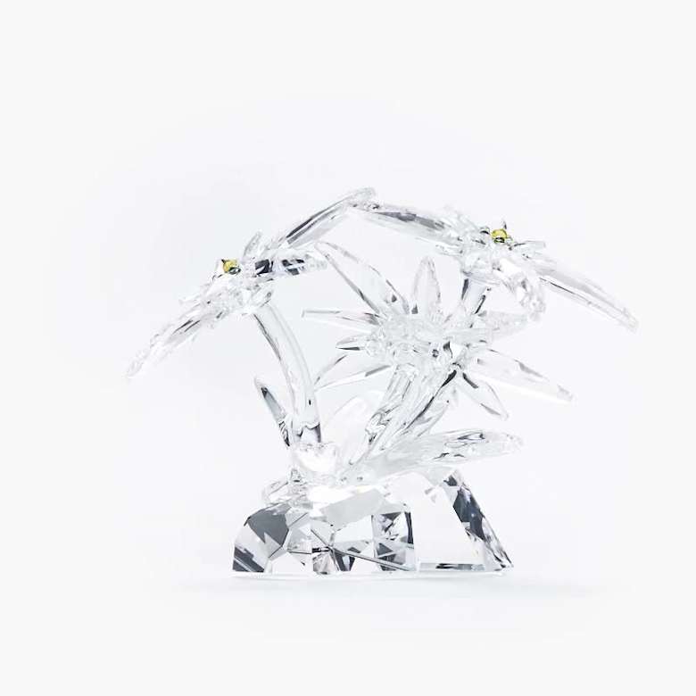 美品★ SWAROVSKI スワロフスキー　クリスタルガラス　エーデルワイス SCSエーデルワイス | Swarovski