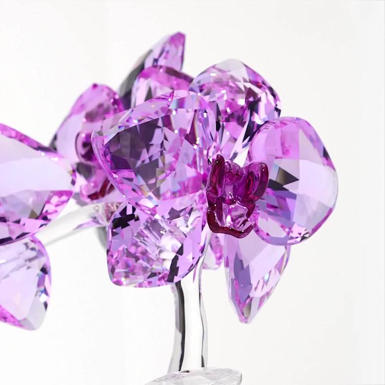 Crystal Flowers Orchid | Swarovski