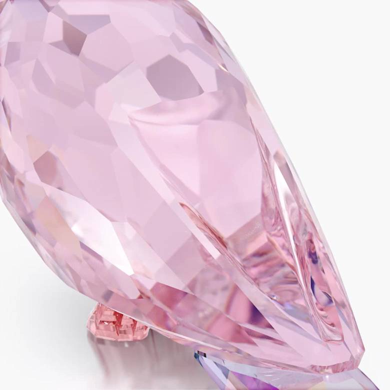 Jungle Beatsピンクのインコ Cha Cha | Swarovski