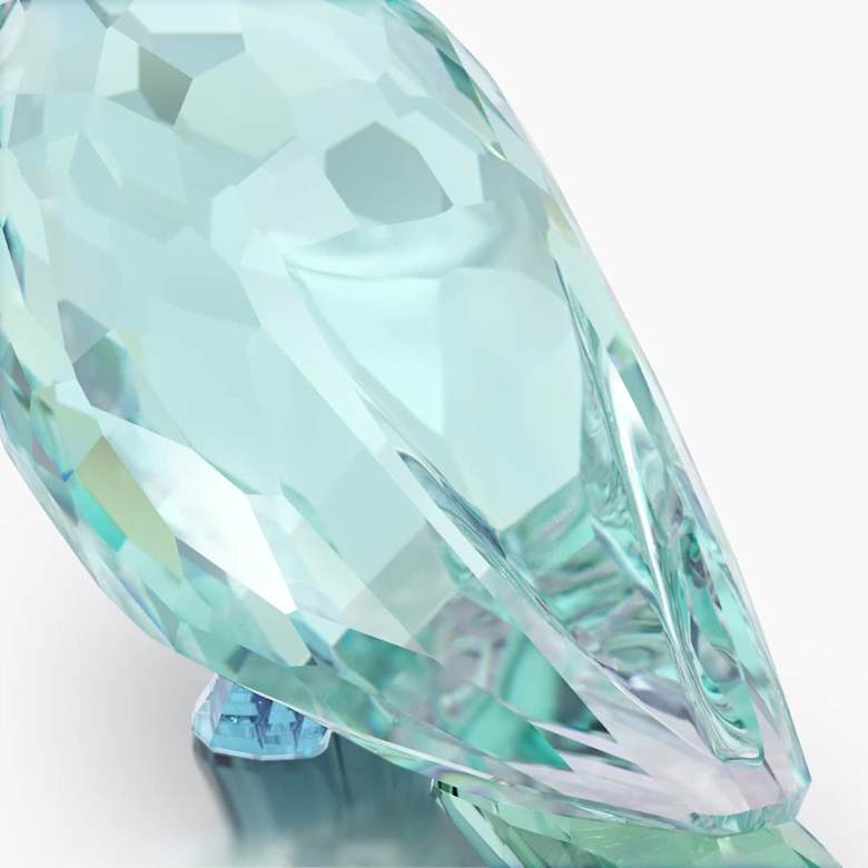 Jungle Beats Blue Parakeet Paco | Swarovski