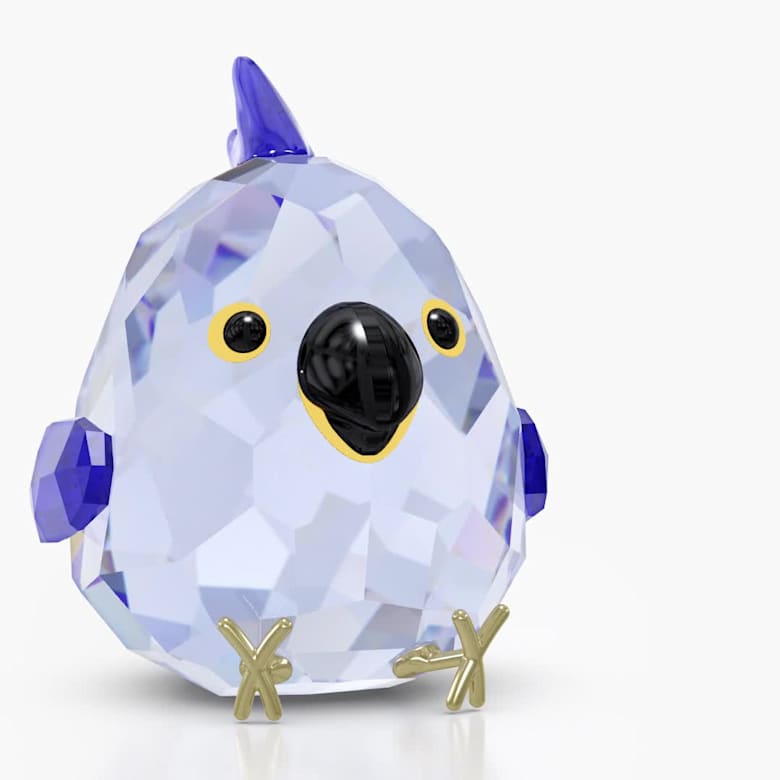 all-you-need-are-birds