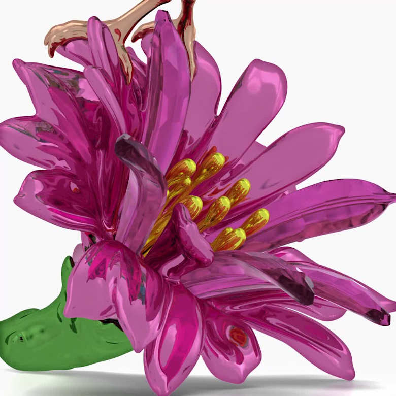 Idyllia シュガーバードとサボテンの花 | Swarovski Idyllia シュガーバードとサボテンの花 | Swarovski