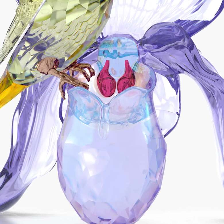 Idyllia Gouldian Finch and Orchid | Swarovski