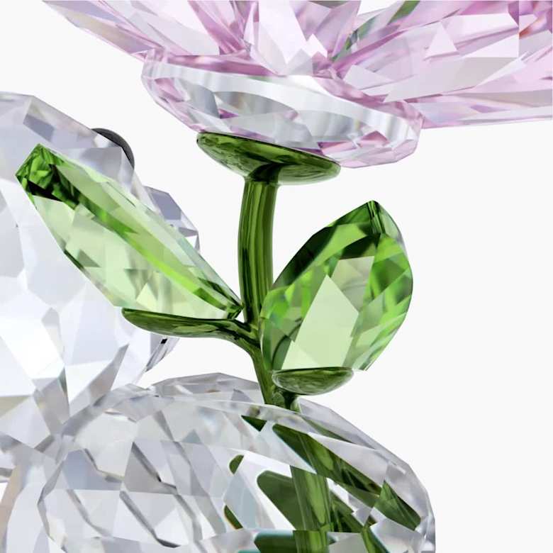 Kris Bear A Daisy for You | Swarovski