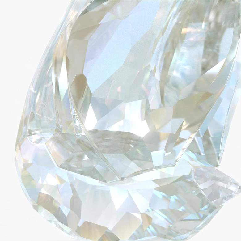 SCS Annual Edition Swan 2024 | Swarovski