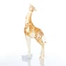 SCS Giraffe Baby - Swarovski, 5302151