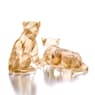 SCS Amur Leopard Cubs - Swarovski, 5428542