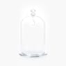 Bell Jar Display, large - Swarovski, 5527606