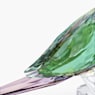 Jungle Beats Parakeet Couple Fife & Fifer - Swarovski, 5577124