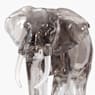 Elegance of Africa SCS Annual Edition 2022 Elephant Fayola - Swarovski, 5604555