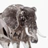 Elegance of Africa SCS Jubilee Edition 2022 Elephant Zena - Swarovski, 5607667