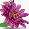 Idyllia Sugarbird and Cactus Flower - Swarovski, 5675166