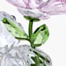 크리스 베어 데이지 포 유 - Swarovski, 5675327