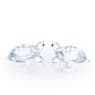 Peaceful Countryside Baby Tortoises - Swarovski, 5688518