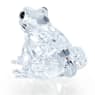 Peaceful Countryside Frog - Swarovski, 5723651